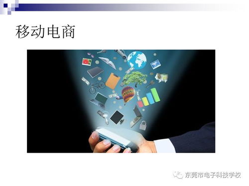 计算机专业电子商务系