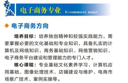 电子商务专业类代码查询入口